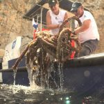 Nettoyage fonds marins_Punta de la Mona_copyright Equilibrio Marino