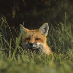 scott-walsh-7LzKELgdzzI-unsplash