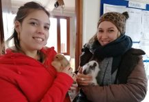 Dans l’ombre, les travailleuses sociales des Fermes d’Espoir cultivent la solidarité et l’inclusion