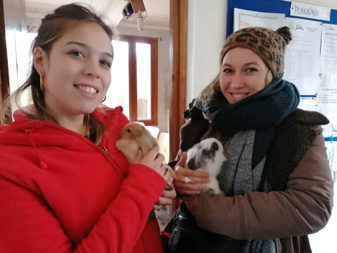 Dans l’ombre, les travailleuses sociales des Fermes d’Espoir cultivent la solidarité et l’inclusion