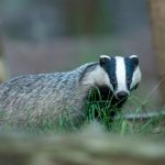 vincent-van-zalinge-u4TvWW1ldW8-unsplash