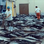 0627714.jpg-r_1920_1080-f_jpg-q_x-xxyxx