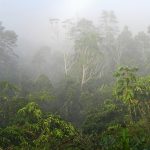 10271317956_be35c25ecd_c