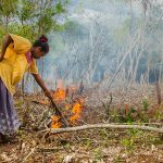 15325471992_032dbb9beb_c