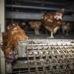 51124144825_a6e52473ed_k