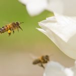 7389009908_fbc4104076_k