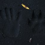 canada_exploring_sabandonner_au_sauvage_27