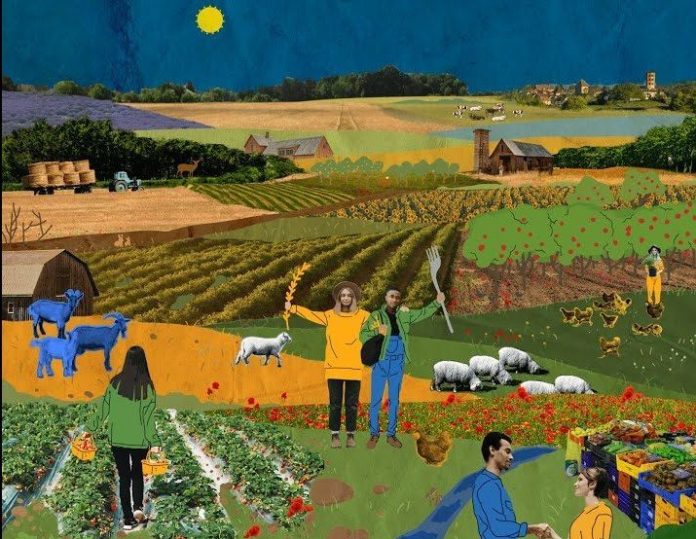 « Pour une autre PAC » : un collectif de 45 associations appelle à refondre le système d’aides agricoles