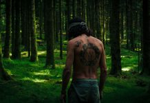 Maderando : un court-métrage qui respire la liberté et la forêt