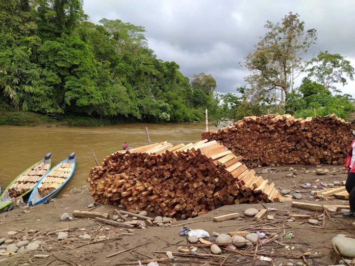 La demande mondiale d’énergie verte menace une région riche en biodiversité