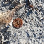 176303039_10223075305943086_3473366058022241286_n