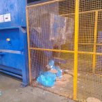 BuitoniCaudry1 benne a ordure, porte ouverte vers la zone de production, ver au sol, chat et animaux, produits au sol 1