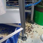 BuitoniCaudry1 garnissage bac poubelle, ingrédient au sol pendant des heures, perte alimentaire 1