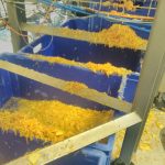 BuitoniCaudry1 garnissage bac poubelle, ingrédient au sol pendant des heures, perte alimentaire 4