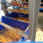 BuitoniCaudry1 garnissage perte alimentaire bac poubelle 2