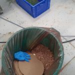 BuitoniCaudry1 garnissage poubelle perte alimentaire viande haché, carton et gant plastique