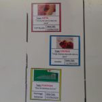 BuitoniCaudry1 tableau corps étrangers 2