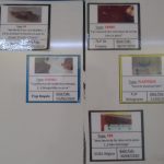 BuitoniCaudry1 tableau corps étrangers 3