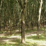 France @listentohear