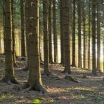 Isère, France @NicolasMareau