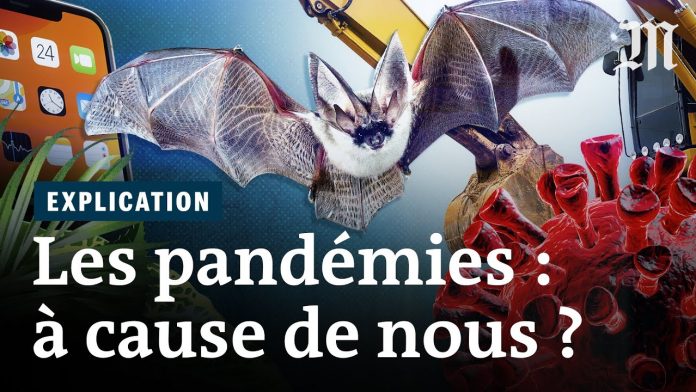 Origine animale des pandémies : il est urgent de changer de modèle