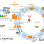 Screenshot 2021-05-05 17.22.37