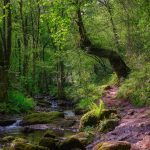 Urrugne France @EmmanuelHiriart – Flickr