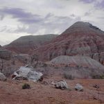 206504661_517805136306023_7846308633792701903_n