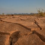 29882377705_fcde652e26_c