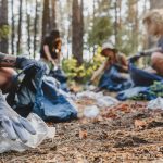 Foret_ramassage_groupe