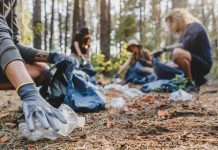 Trash Spotter : une application géniale pour organiser le ramassage des déchets