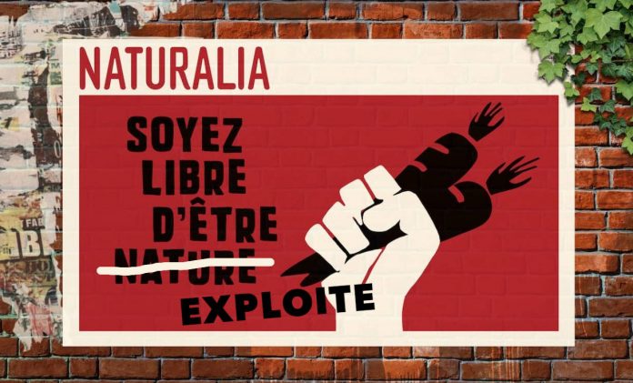 Colère chez Naturalia : les témoignages hallucinants s’accumulent