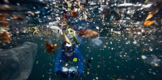 Plastique : les océans proches d’un basculement irréversible