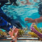 201915638_5627900323948090_2729059413345424251_n