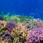 218066014_5773755339362587_1952518174448859057_n