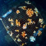 223646747_5813360828735371_8398853955381573185_n