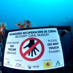 224208296_5813361105402010_6011291685964269790_n