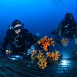 225918047_5813360825402038_7970447139508524080_n