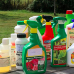 Capture d’écran 2021-07-23 à 12.16.13