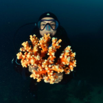 Capture d’écran 2021-07-29 à 16.47.24