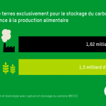 Capture d’écran 2021-07-30 à 10.11.05