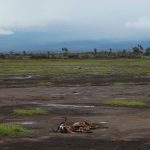 climate-crisis-4607102_1280