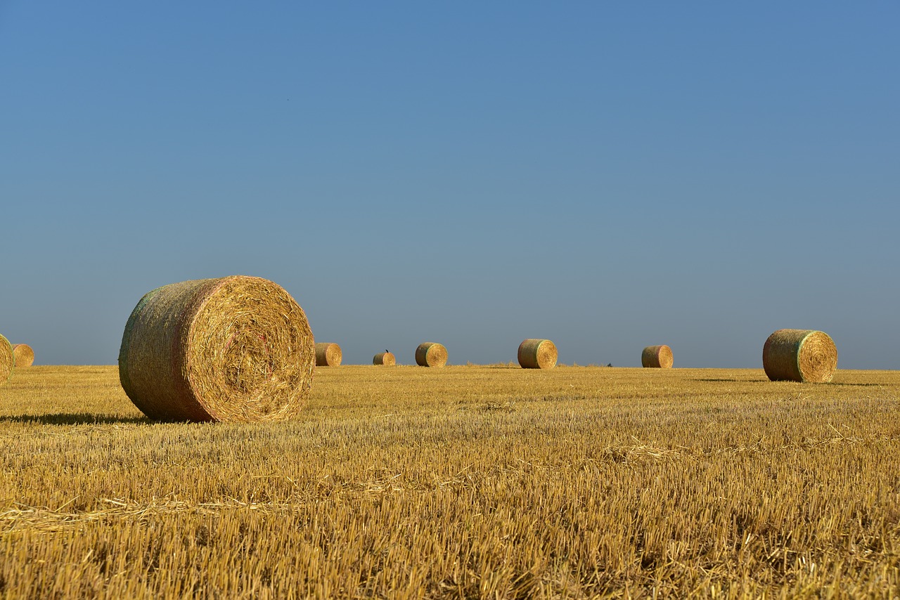 Étude : L’agriculture Bio Et Locale Capable De Nourrir L’Europe D’ici 2050