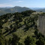 La-Métaphysique-du-berger-1