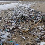 120391349_10158820905146392_1822054500340730934_n