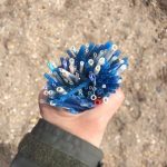 120465503_10158827672621392_7972381438036038800_n