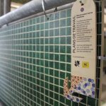 191551013_320085482907069_8502990493159662225_n