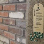 191842516_320085729573711_1028193781233104304_n