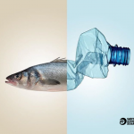 228240304_10159559303471392_2276336603136139048_n