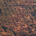 2560px-Amazon_rainforest_(S